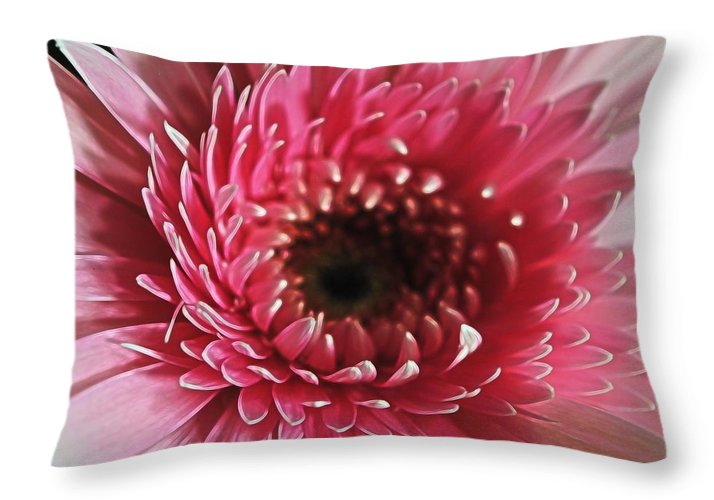 Pink Daisy Close Up - Throw Pillow