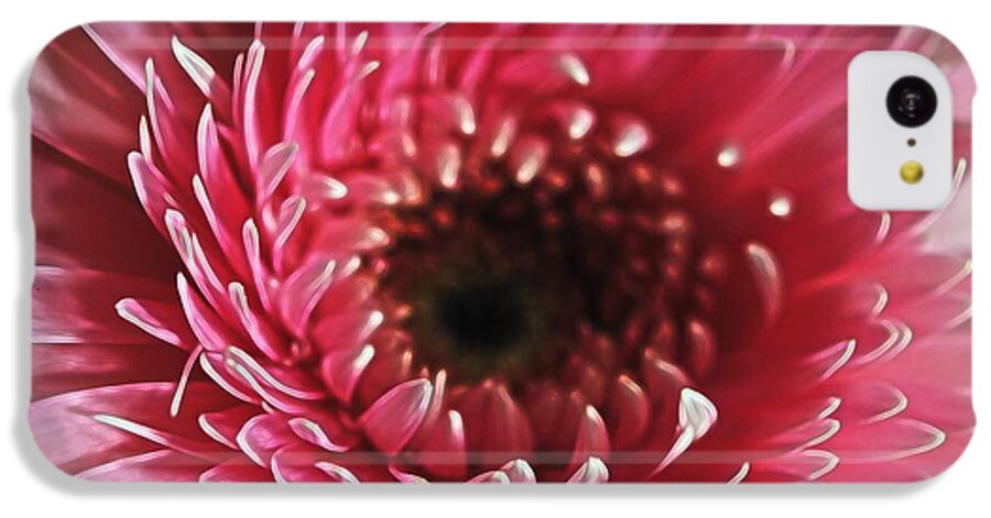 Pink Daisy Close Up - Phone Case