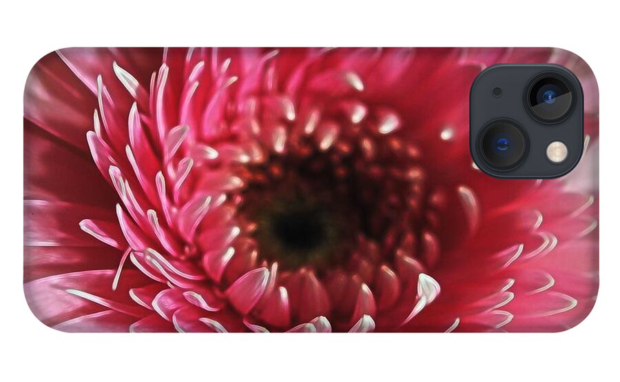 Pink Daisy Close Up - Phone Case
