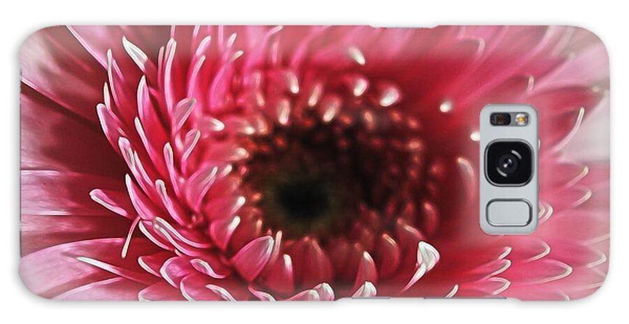 Pink Daisy Close Up - Phone Case