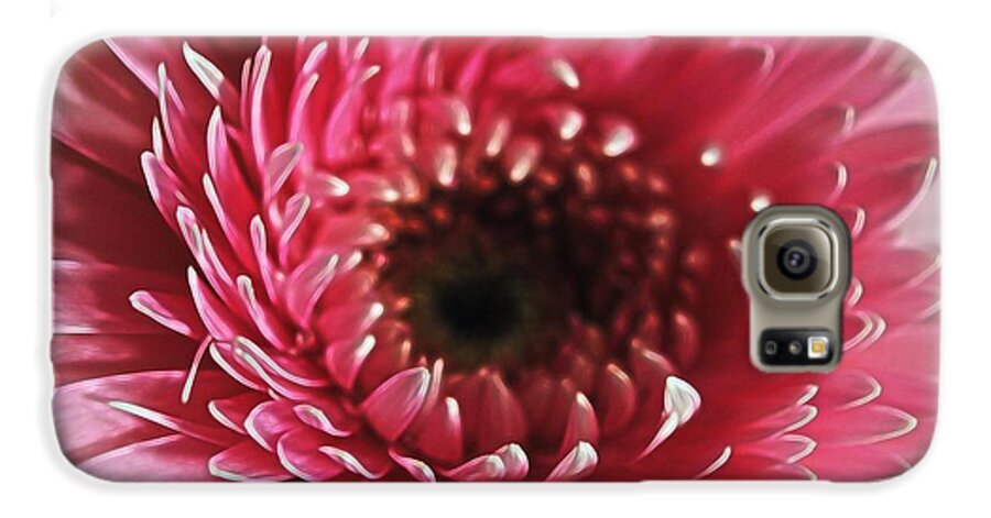Pink Daisy Close Up - Phone Case