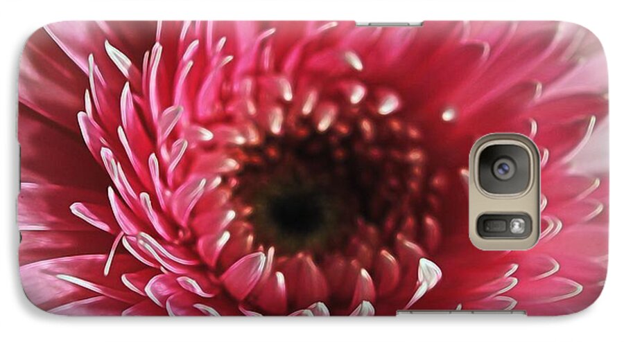 Pink Daisy Close Up - Phone Case
