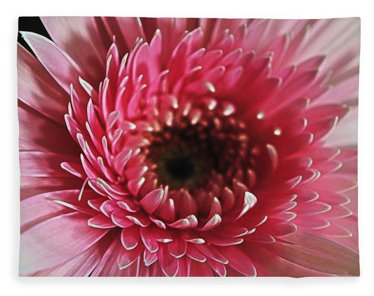 Pink Daisy Close Up - Blanket
