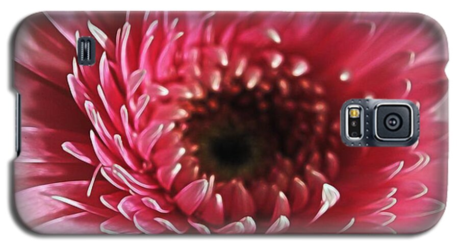 Pink Daisy Close Up - Phone Case