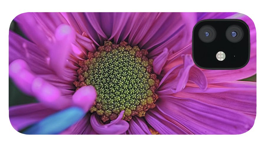 Pink Daisy Flower - Phone Case
