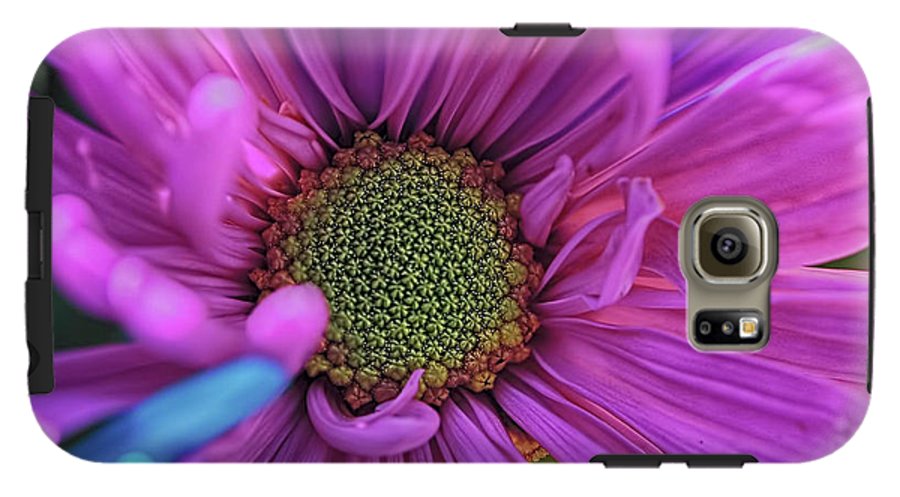 Pink Daisy Flower - Phone Case
