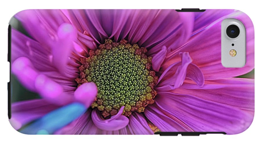 Pink Daisy Flower - Phone Case