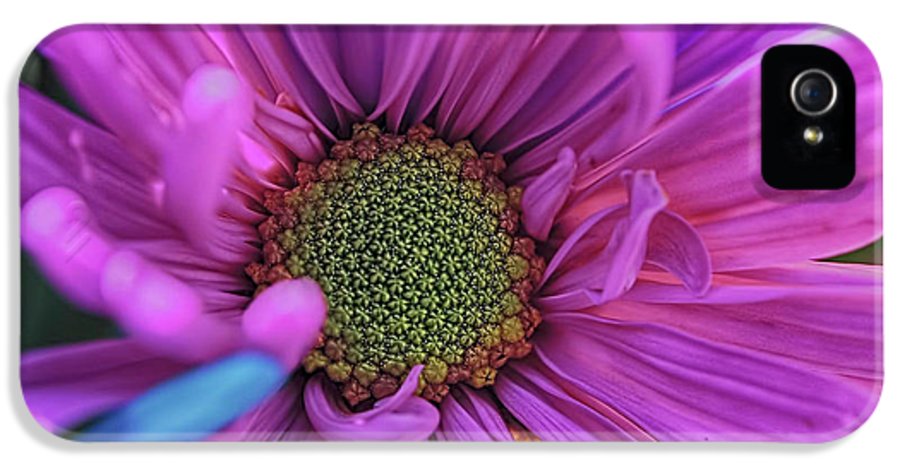 Pink Daisy Flower - Phone Case