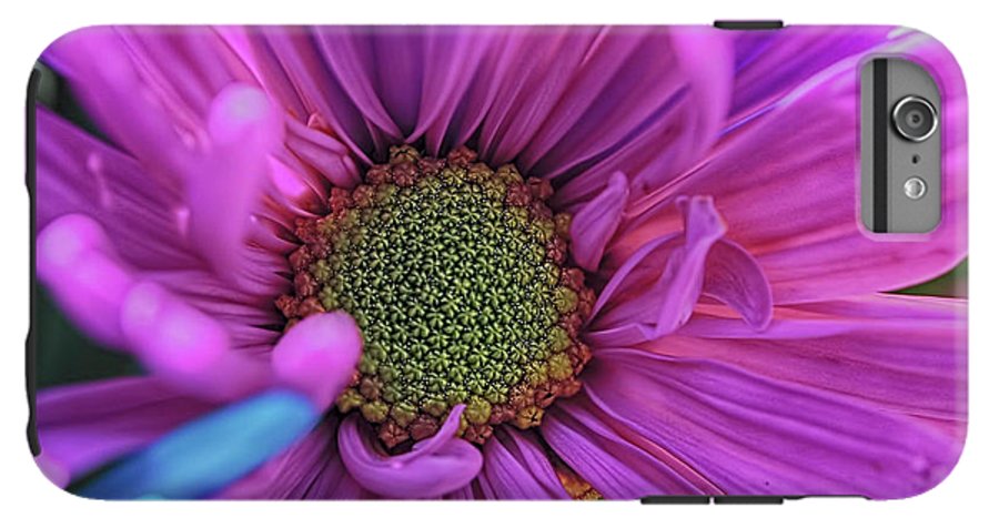 Pink Daisy Flower - Phone Case
