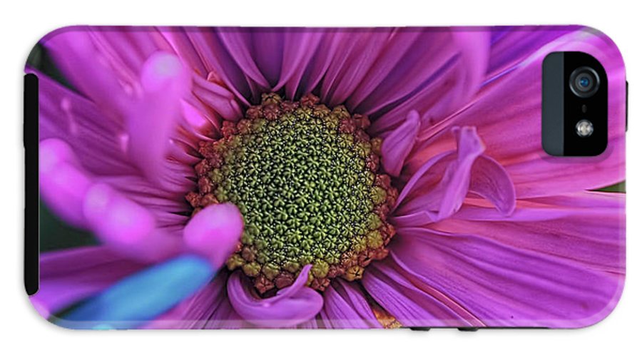 Pink Daisy Flower - Phone Case