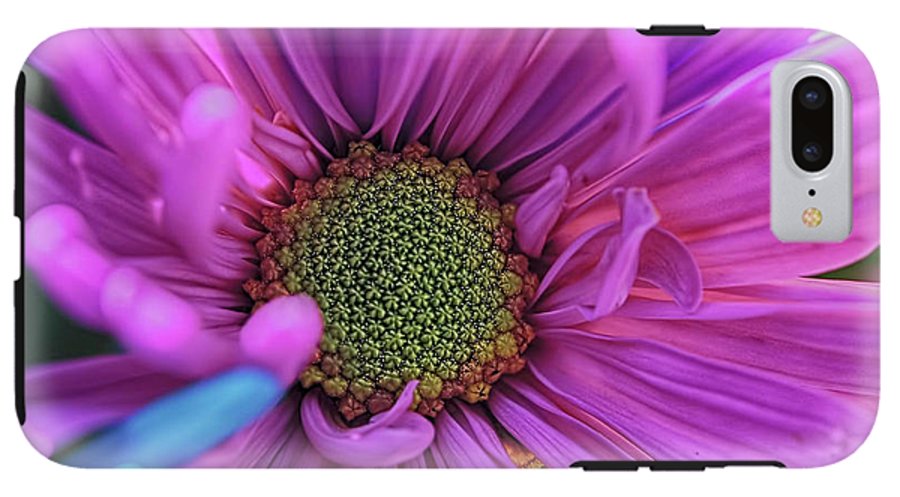 Pink Daisy Flower - Phone Case