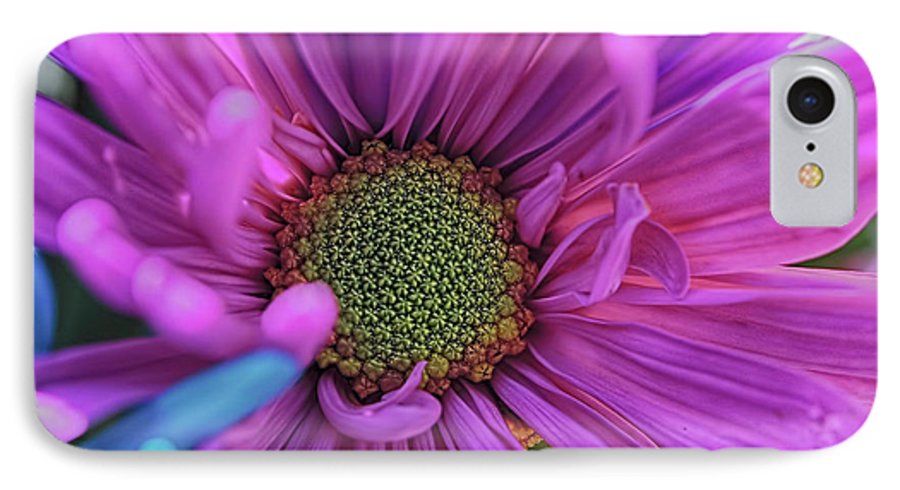 Pink Daisy Flower - Phone Case