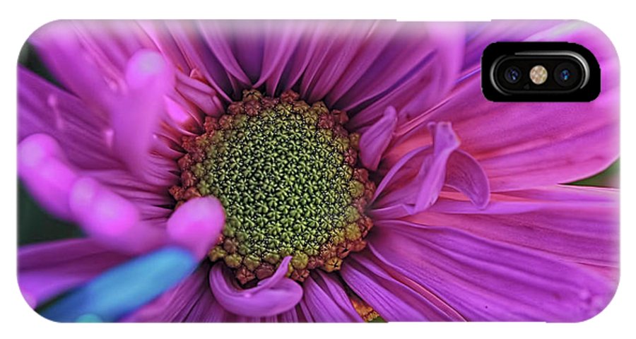 Pink Daisy Flower - Phone Case