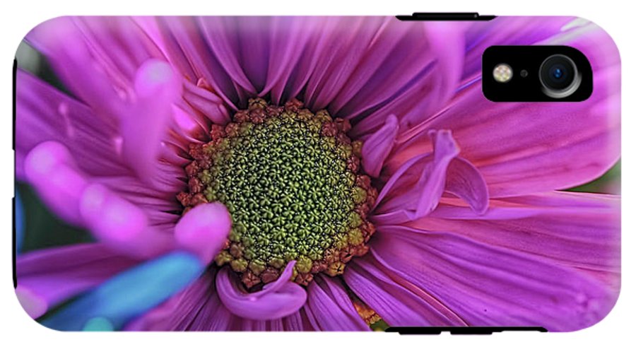 Pink Daisy Flower - Phone Case