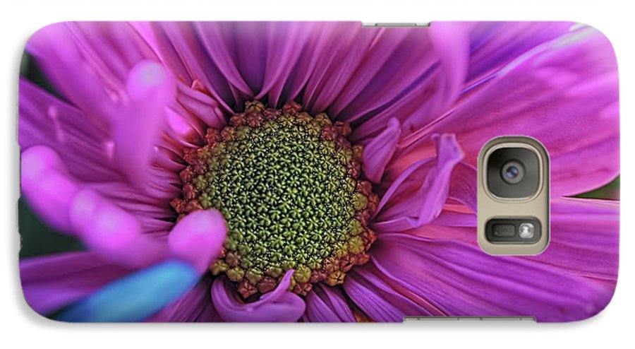 Pink Daisy Flower - Phone Case