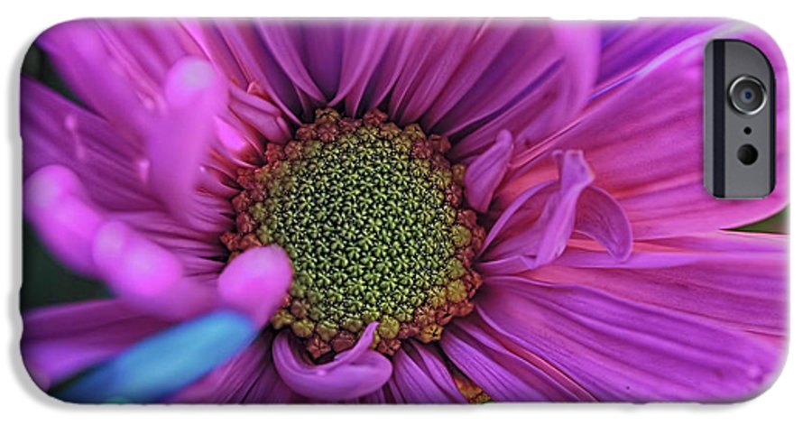 Pink Daisy Flower - Phone Case