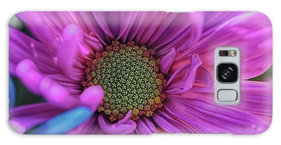 Pink Daisy Flower - Phone Case