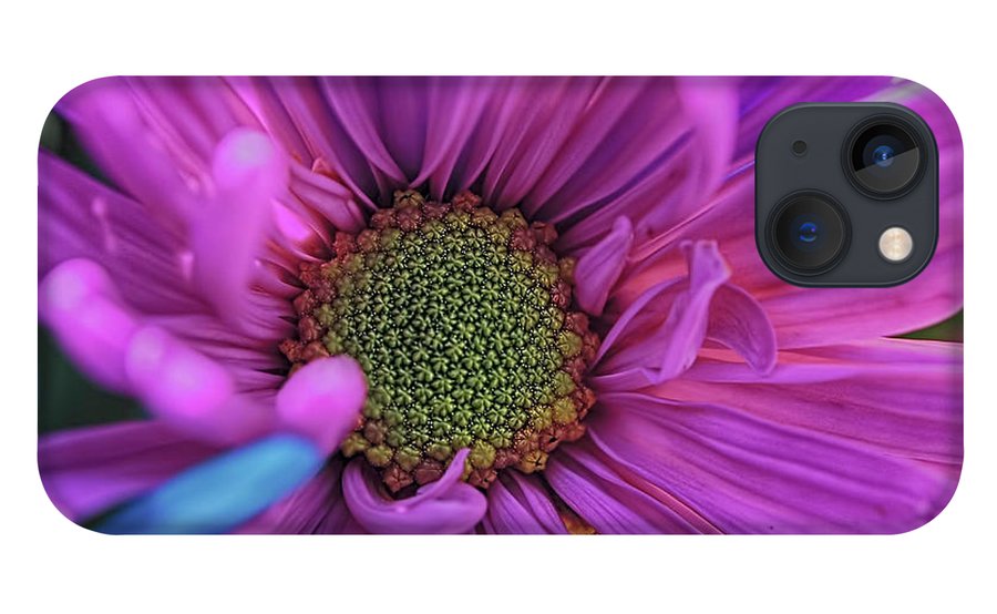 Pink Daisy Flower - Phone Case