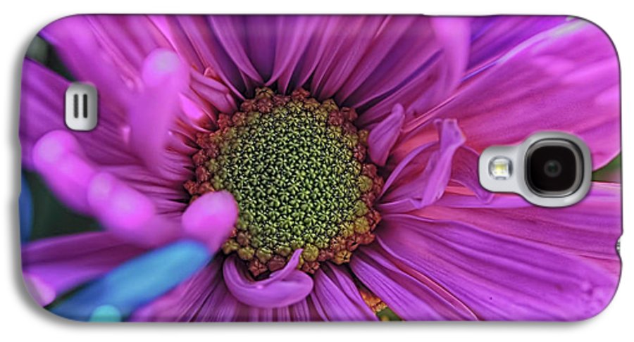 Pink Daisy Flower - Phone Case