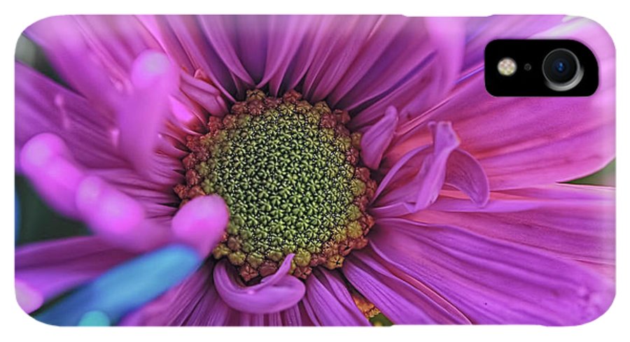 Pink Daisy Flower - Phone Case