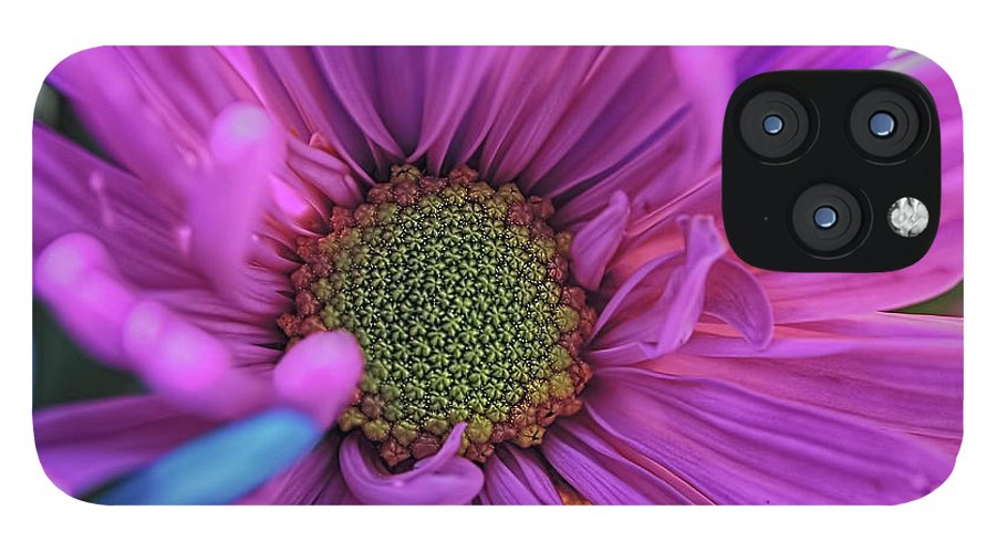 Pink Daisy Flower - Phone Case