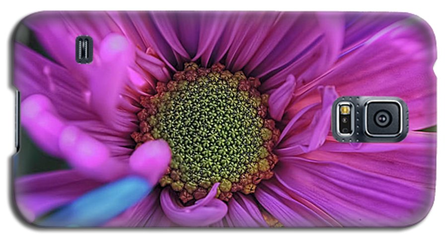 Pink Daisy Flower - Phone Case