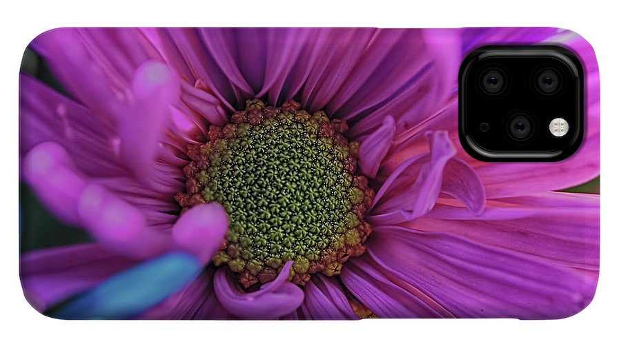 Pink Daisy Flower - Phone Case