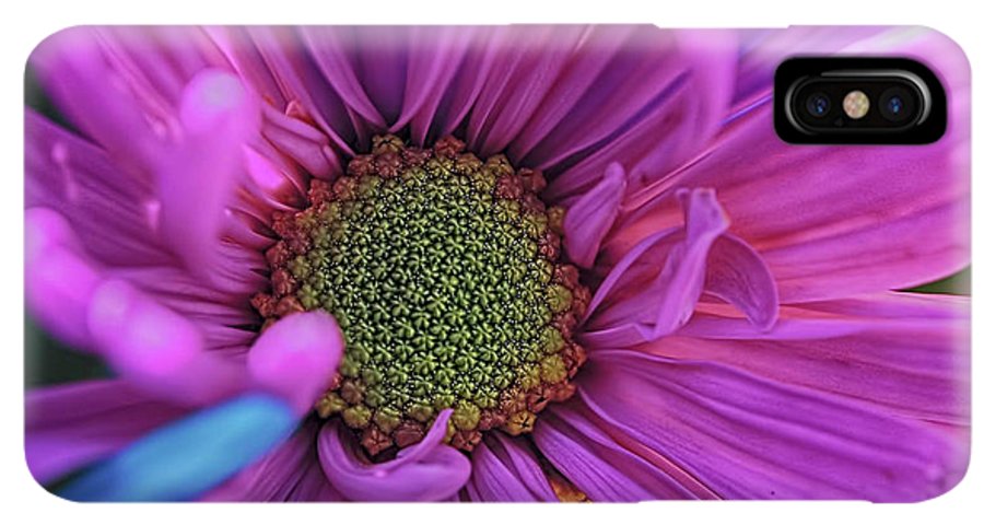 Pink Daisy Flower - Phone Case