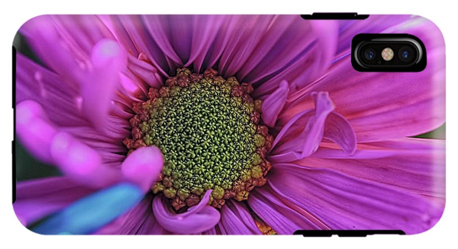 Pink Daisy Flower - Phone Case