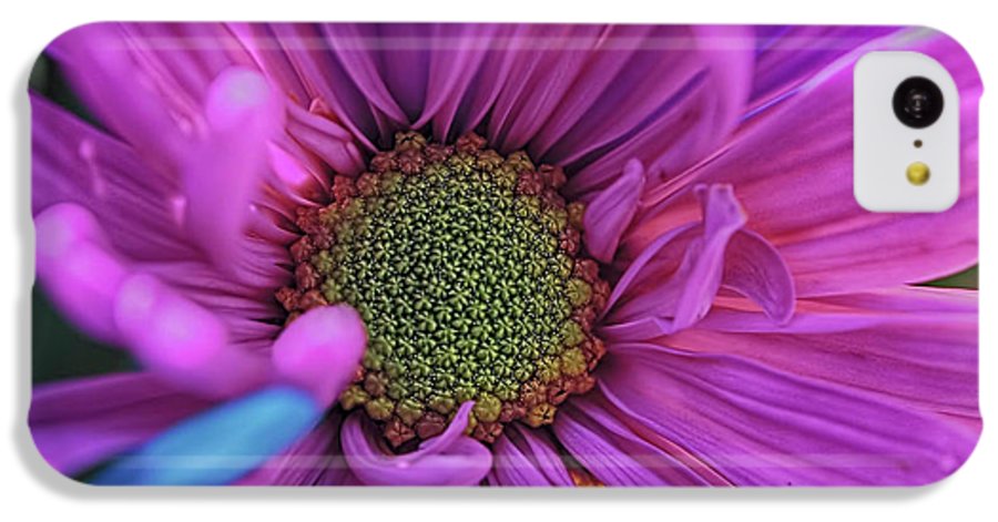 Pink Daisy Flower - Phone Case