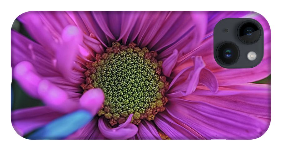 Pink Daisy Flower - Phone Case