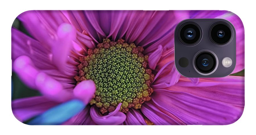 Pink Daisy Flower - Phone Case