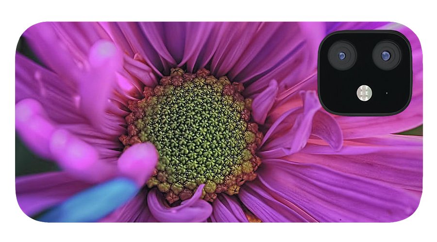 Pink Daisy Flower - Phone Case