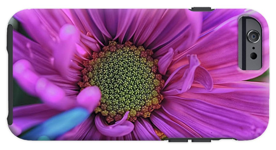 Pink Daisy Flower - Phone Case