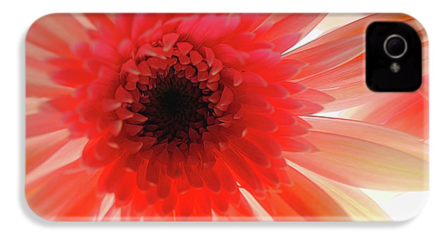 Pink Daisy On Light - Phone Case
