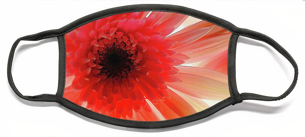 Pink Daisy On Light - Face Mask