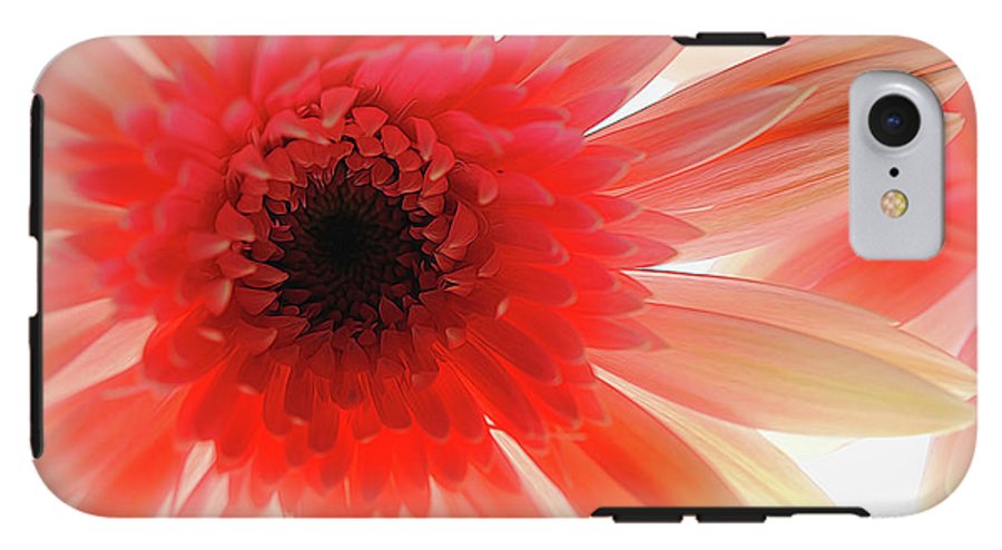 Pink Daisy On Light - Phone Case