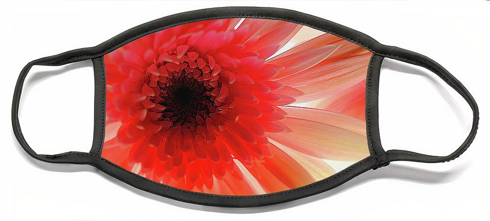 Pink Daisy On Light - Face Mask