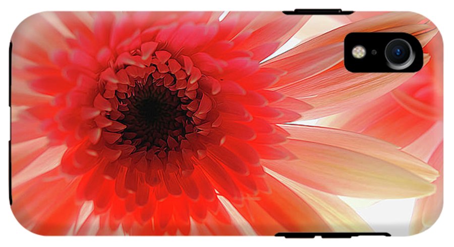 Pink Daisy On Light - Phone Case