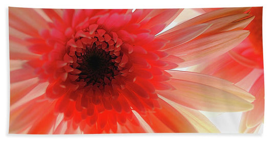 Pink Daisy On Light - Bath Towel