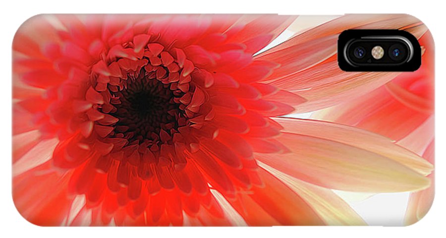 Pink Daisy On Light - Phone Case