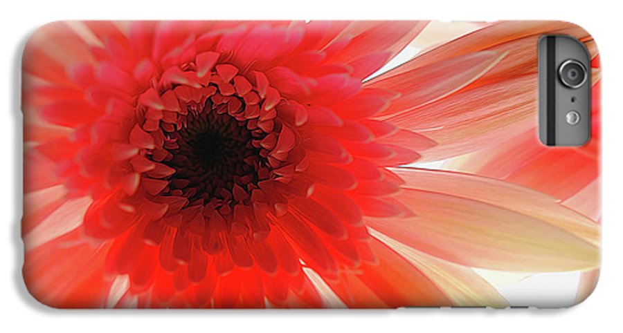Pink Daisy On Light - Phone Case
