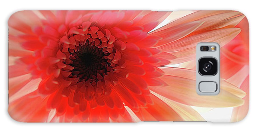 Pink Daisy On Light - Phone Case