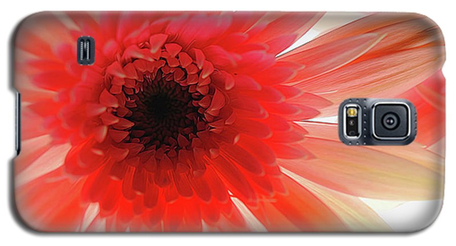 Pink Daisy On Light - Phone Case