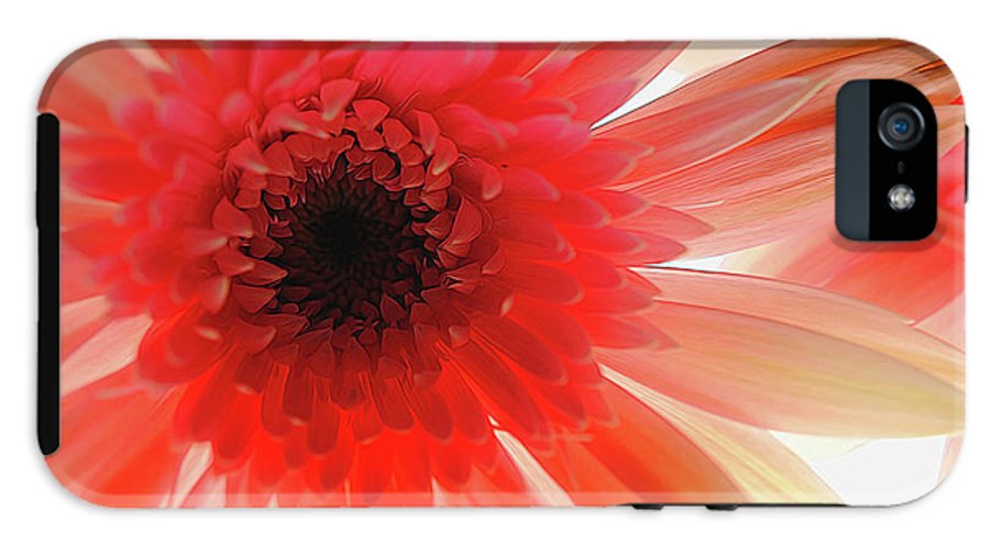 Pink Daisy On Light - Phone Case