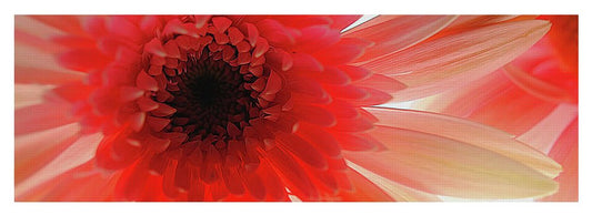 Pink Daisy On Light - Yoga Mat