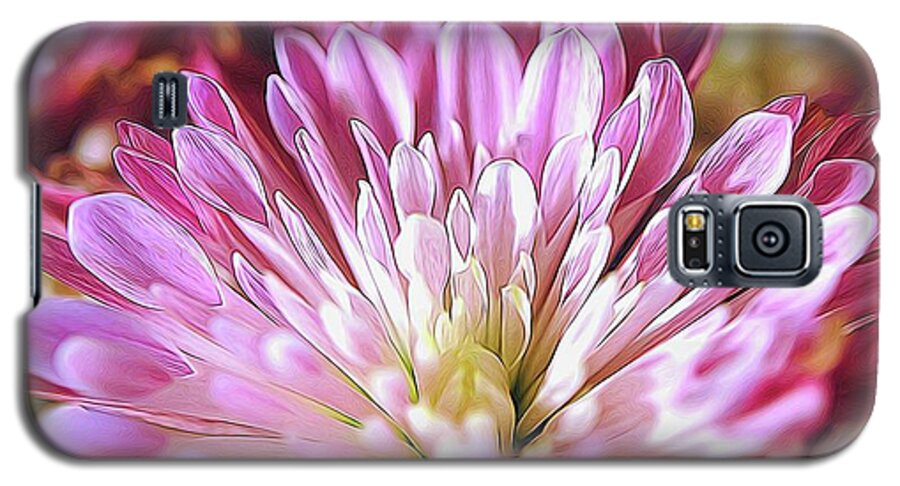Pink Flower Petals Close Up - Phone Case