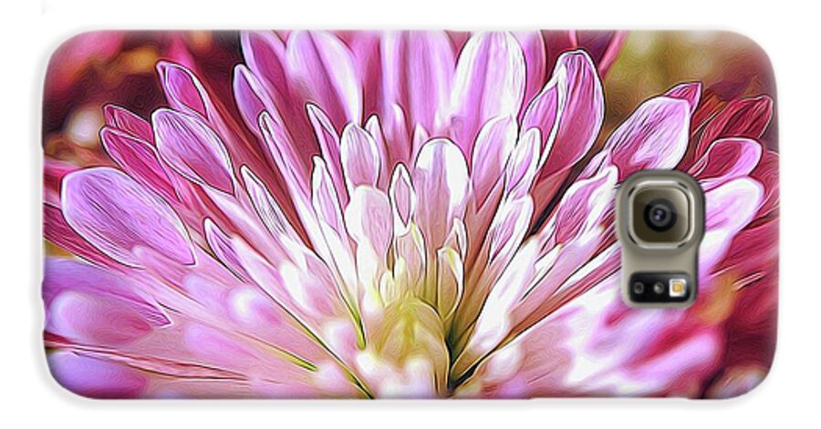 Pink Flower Petals Close Up - Phone Case