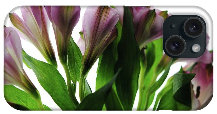 Pink Flowers Green Stems - Phone Case