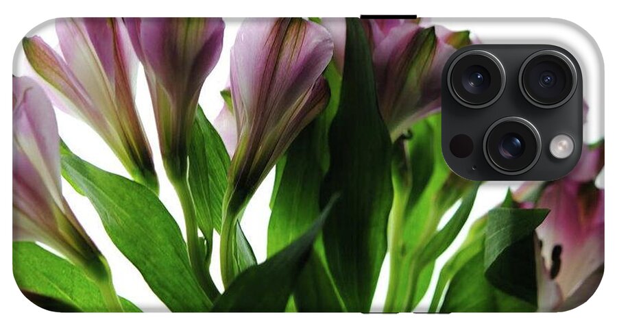 Pink Flowers Green Stems - Phone Case